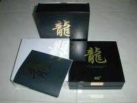 y2kdragon 5